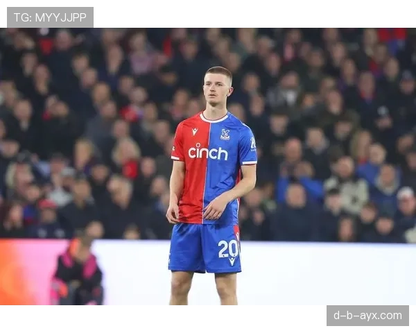 埃里克森带伤出战表现抢眼，为球队注入全新活力